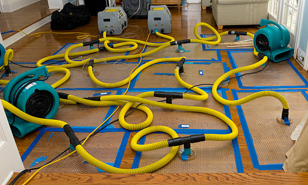 Professional Basement Flood Cleanup technician working in Reno, NV